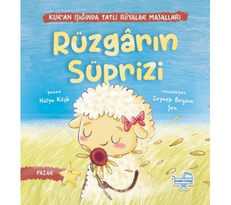 Rüzgarın Sürprizi