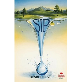 Şıp