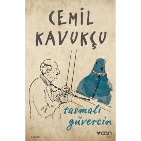 Tasmalı Güvercin Tasmalı Güvercin