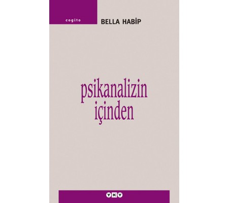 Psikanalizin İçinden Psikanalizin İçinden