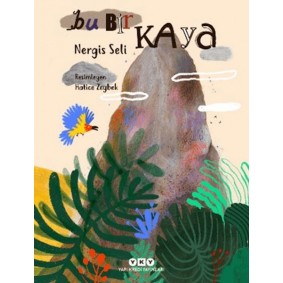 Bu Bir Kaya Bu Bir Kaya