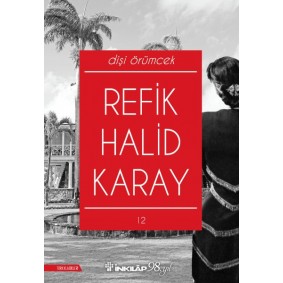 Dişi Örümcek (Yeni Kapak)