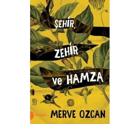 Şehir Zehir ve Hamza