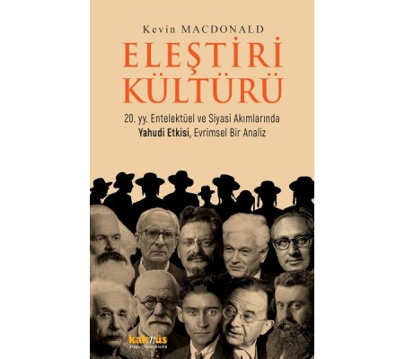 Eleştiri Kültürü