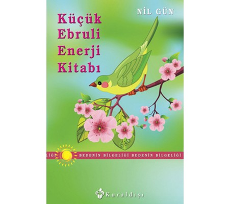 Küçük Ebruli Enerji Kitabı