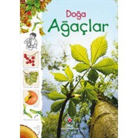 Doğa - Ağaçlar Doğa - Ağaçlar