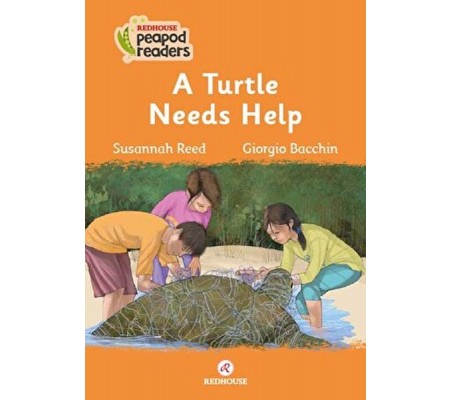 A Turtle Needs Help