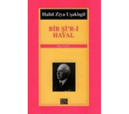 Bir Şi’r-i Hayal