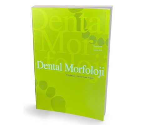 Dental Morfoloji