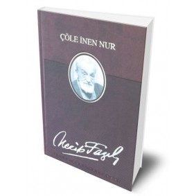 Çöle İnen Nur (Deri Ciltli) Çöle İnen Nur (Deri Ciltli)