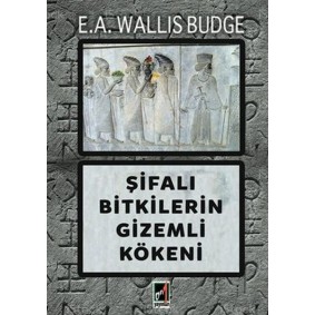 Şifalı Bitkilerin Gizemli Kökeni Şifalı Bitkilerin Gizemli Kökeni
