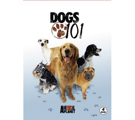 Dogs 101 - Köpekler